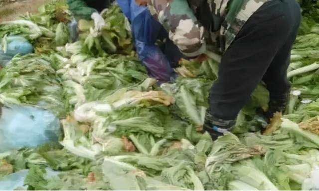 從”老壇酸菜“事件引發的反思：凈水器的甄別也需謹慎再三！