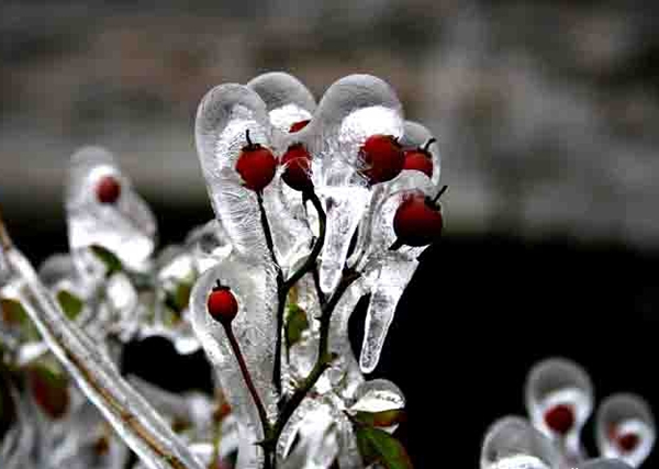 漢斯頓與海爾合作是真的嗎？