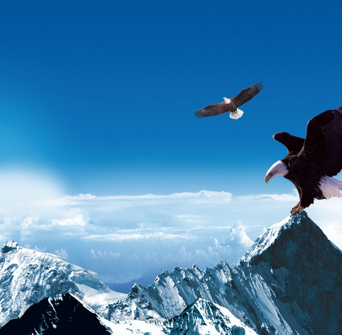 漢斯頓開拓新市場，贏取新機遇