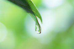 什么是全屋凈化系統呢？全屋凈水用什么凈水器？